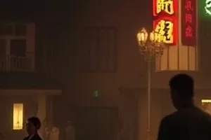 《旧城拾遗》封面，老城墙砖缝里长出的野草